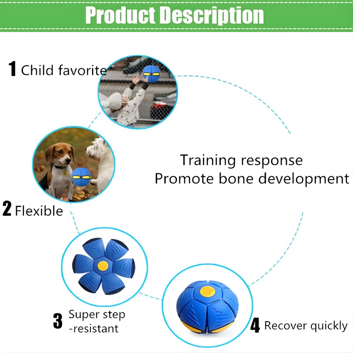 flying saucer ball for dogs and kids