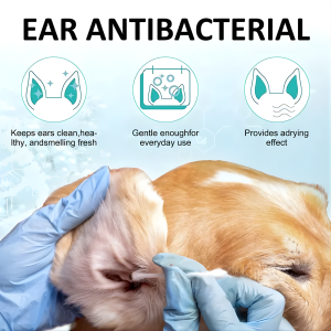 ear cleaning for dogs and cats solution