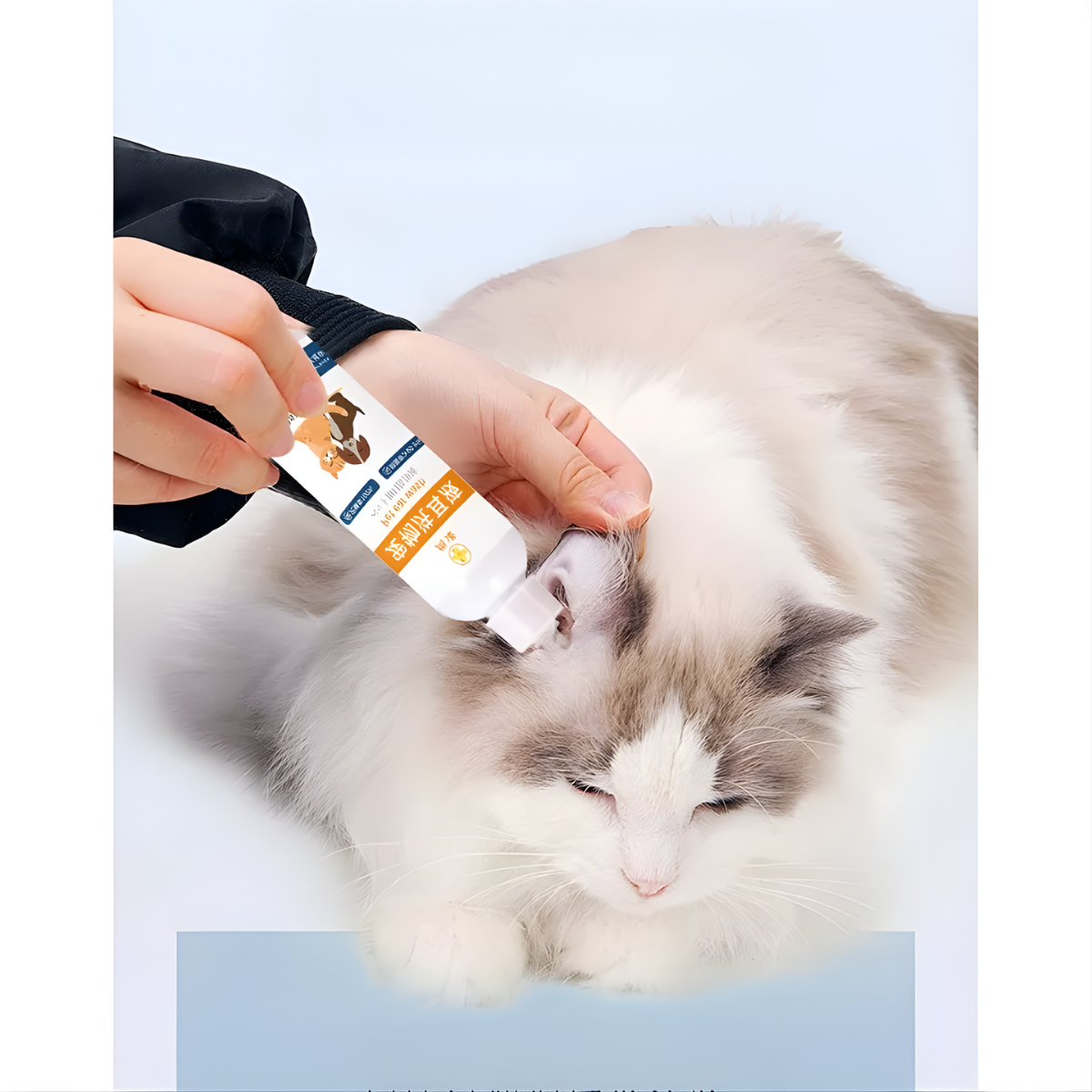 ear cleaning for dogs easy home use