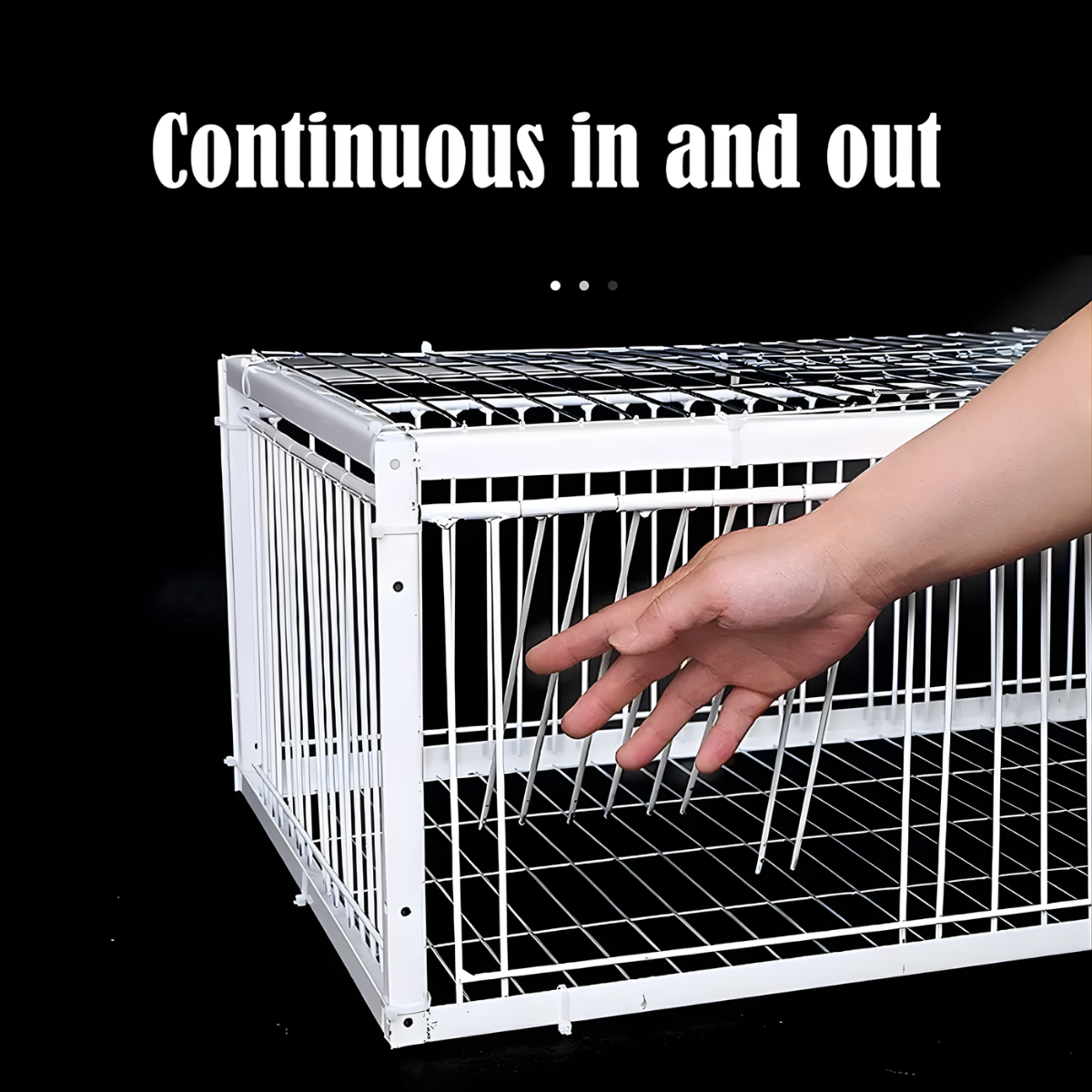 humane animal trap bird cage