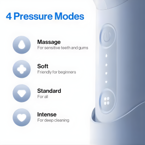 portable water flosser travel