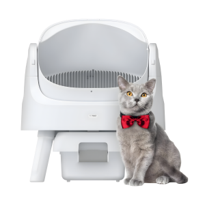 self cleaning cat litter box