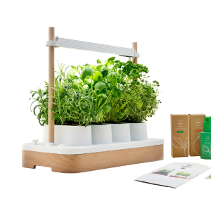 Hydroponic garden system with LED grow lights