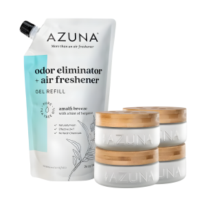 odor eliminator gel kitchen